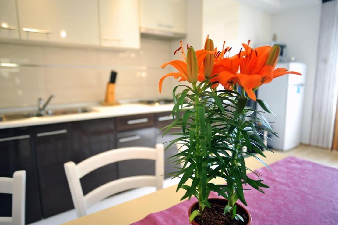 Apartmani Anita เมดูลิน ภายนอก รูปภาพ